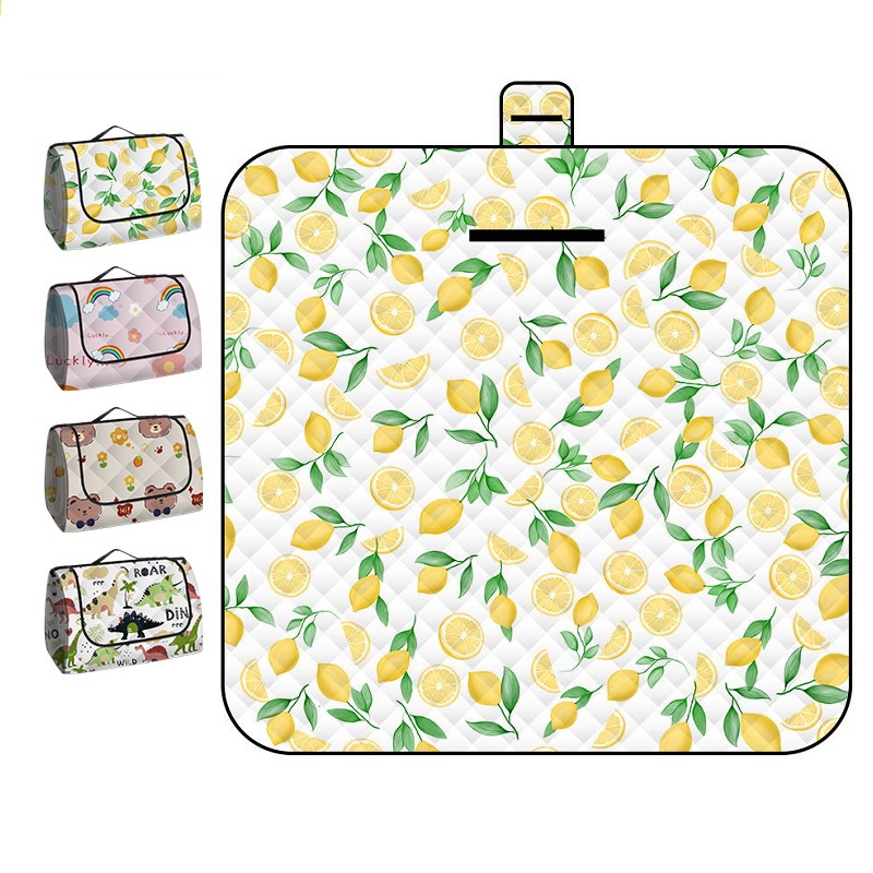 150*200CM Portable Picnic Mat  - Outdoor Camping Floor Mat 评论和价格