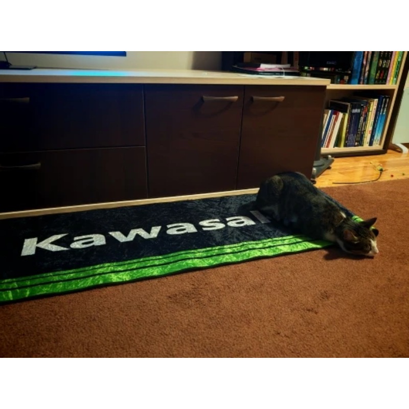 Kawasaki Motorcycle Carpet Gar - Camping Quad 评论和价格