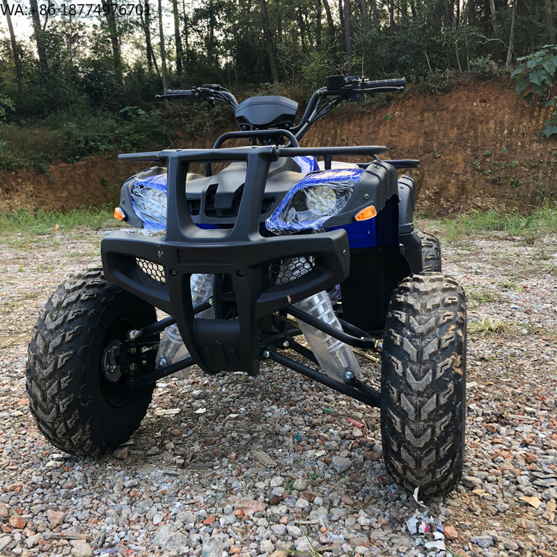 Electric 4 Seater 4WD 4-Stroke - Camping Quad 评论和价格