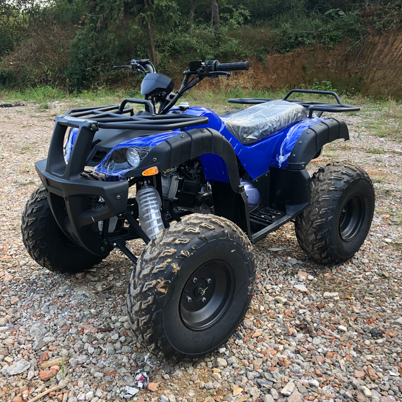 Electric 4 Seater 4WD 4-Stroke - Camping Quad 评论和价格