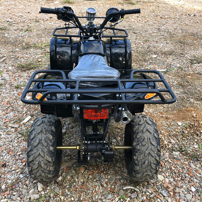 Electric 4 Seater 4WD 4-Stroke - Camping Quad 评论和价格