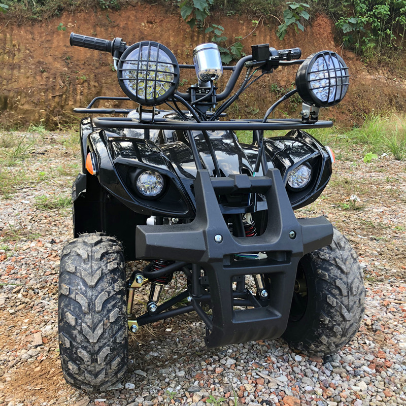 Electric 4 Seater 4WD 4-Stroke - Camping Quad 评论和价格